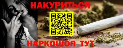 крисы Новозыбков