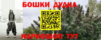 крисы Новозыбков